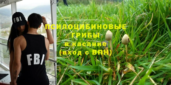 дурь Богородск