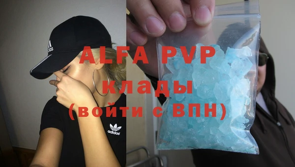 гидра Покров