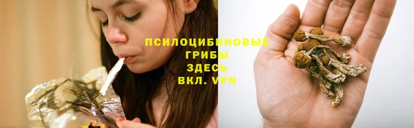 мескалин Бугульма