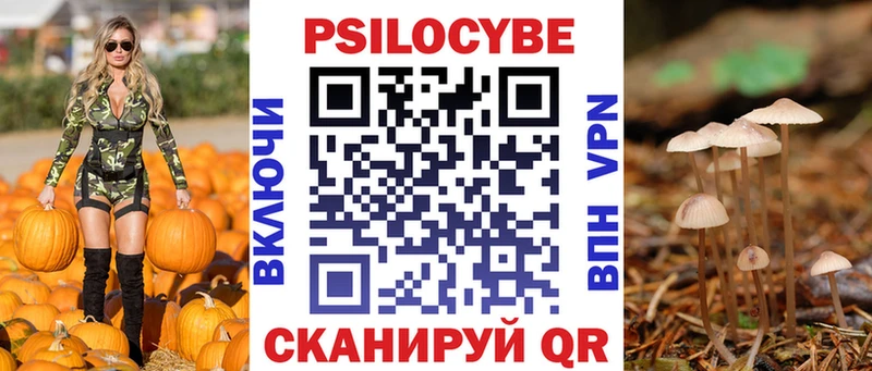 Псилоцибиновые грибы GOLDEN TEACHER что такое наркотик Щучье